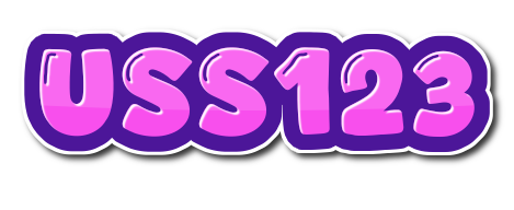 USS123 LOGO